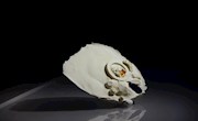 学生作品展——饰品类（三）
