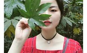 林玉