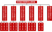 党委组织架构