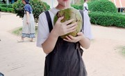 19旅服高工1 梁淑慧