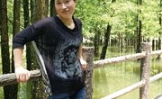 杨苹苹