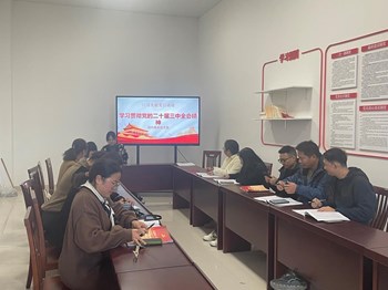 深入学习贯彻党的二十届三中全会精神－现代服务党支部11月主题党日活动总结